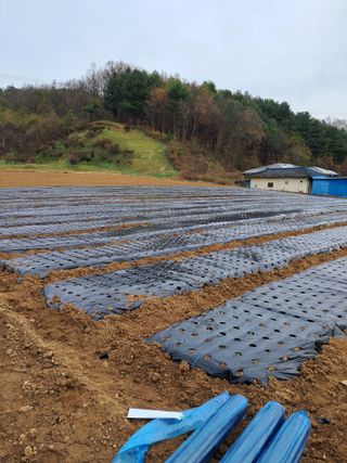 규수김님의 자유주제 · 사진전 작성글 사진