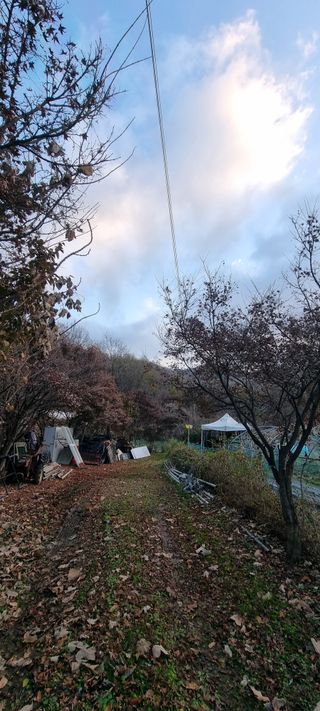 달방구님의 자유주제 · 자유게시판 작성글 사진