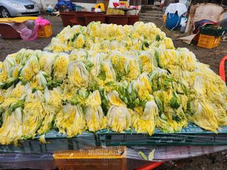 박명자님의 최근 산 물건을 알려주세요! · 참여글 작성글 사진