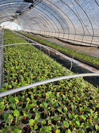 오여사님의 기타작물 · 자유게시판 작성글 사진