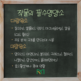 팜모닝 농사공부님의 매일매일 농사공부 · 매일매일 농사공부 작성글 사진