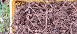 감자7294님의 작성글 사진