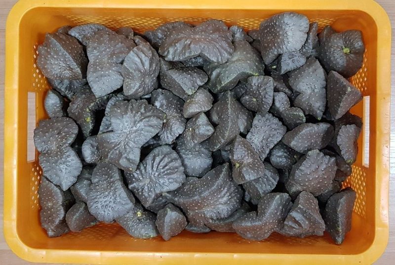 장터 상품 [고창 햇하늘마 3kg] 썸네일