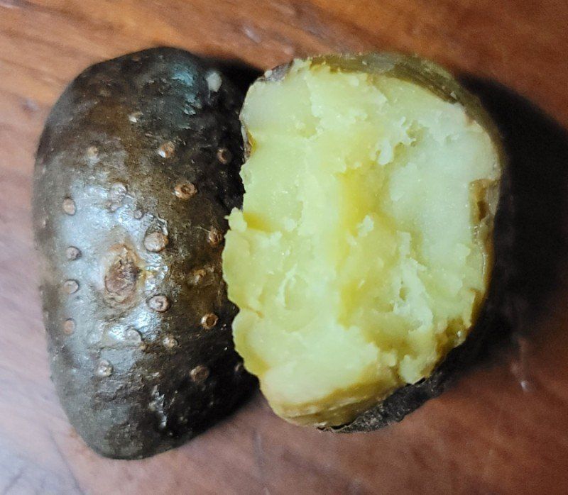 이용찬 열매마농원님의 장터 판매 상품 [고창 햇하늘마 3kg] 첨부 사진