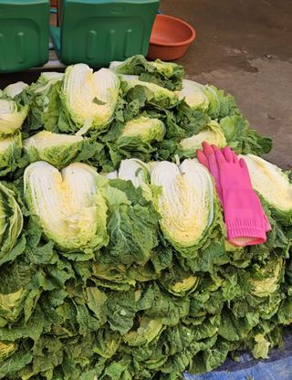 노가네수산님의 우리동네 · 동네정보 작성글 사진