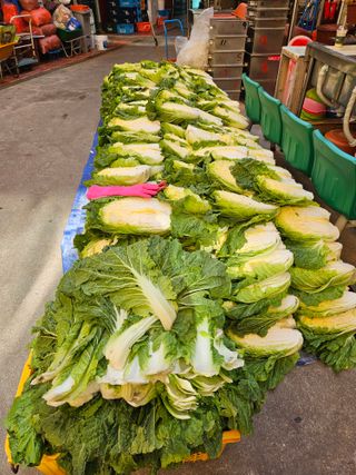 노가네수산님의 우리동네 · 동네정보 작성글 사진