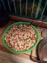 팜모닝 감자·자유게시판 게시글 이미지