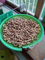 팜모닝 기타작물·자유게시판 게시글 이미지