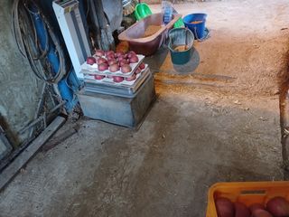 알 수 없음님의 우리동네 · 동네수다 작성글 사진