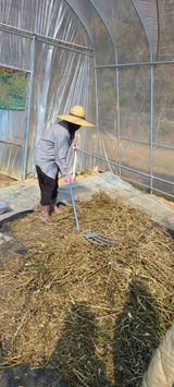 팜모닝 기타작물·영농일지 게시글 이미지