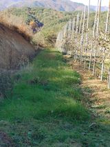 팜모닝 자유주제·자유게시판 게시글 이미지