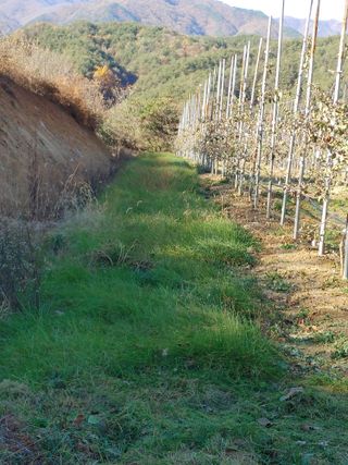 숲속의사나이님의 자유주제 · 자유게시판 작성글 사진