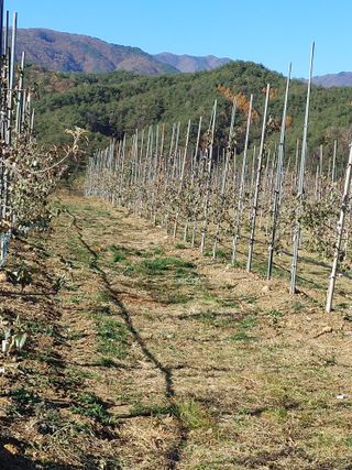 숲속의사나이님의 자유주제 · 자유게시판 작성글 사진