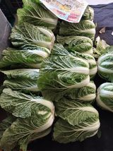 팜모닝 자유주제·자유게시판 게시글 이미지