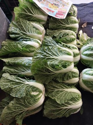 성주 농업인님의 자유주제 · 자유게시판 작성글 사진