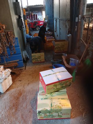 알 수 없음님의 우리동네 · 동네수다 작성글 사진