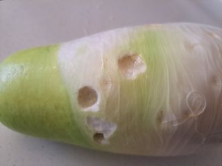 귀향인님의 배추 · 병해충상담 작성글 사진