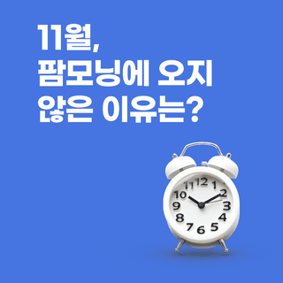 팜모닝님의 팜모닝공식 · 공지 작성글 사진