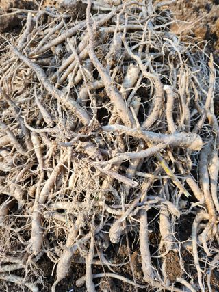 조태현님의 작성글 사진