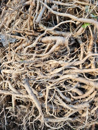 조태현님의 작성글 사진