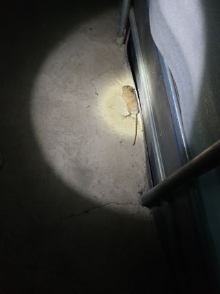 자연인이좋아요님의 최근 산 물건을 알려주세요! · 참여글 작성글 사진