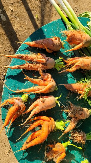 블랙타이거님의 자유주제 · 사진전 작성글 사진