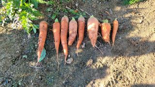 블랙타이거님의 자유주제 · 사진전 작성글 사진