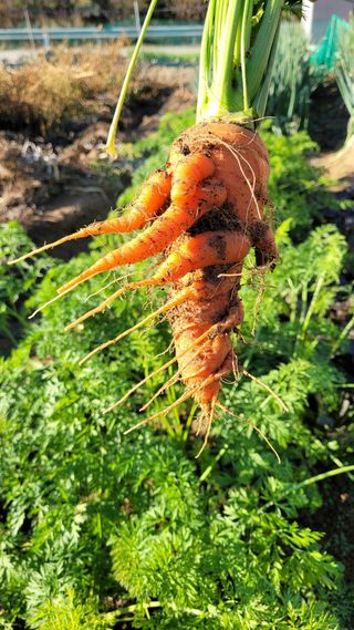 블랙타이거님의 자유주제 · 사진전 작성글 사진