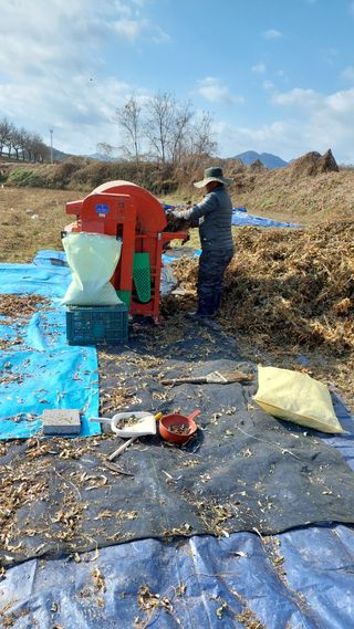 박진하님의 콩 · 자유게시판 작성글 사진