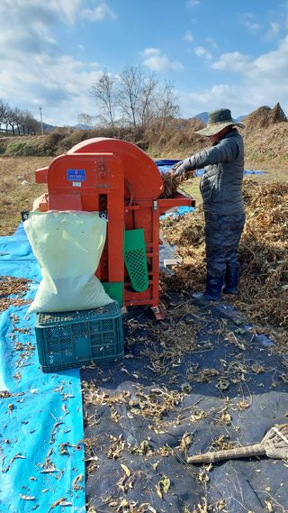 박진하님의 콩 · 자유게시판 작성글 사진