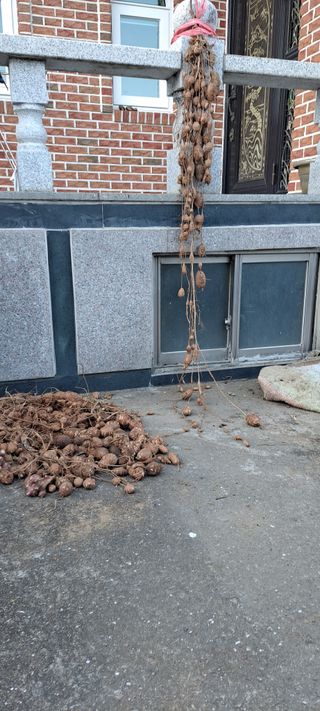 장준재님의 기타작물 · 자유게시판 작성글 사진