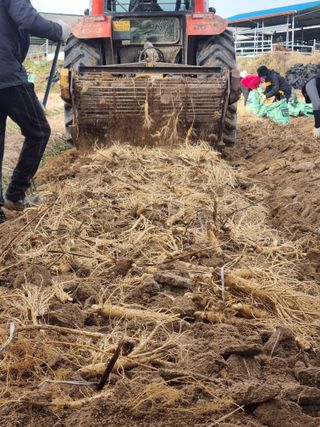 모두팜님의 자유주제 · 사진전 작성글 사진