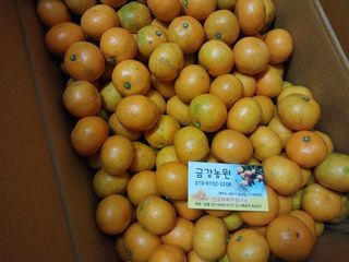 금동이네님의 최근 산 물건을 알려주세요! · 참여글 작성글 사진