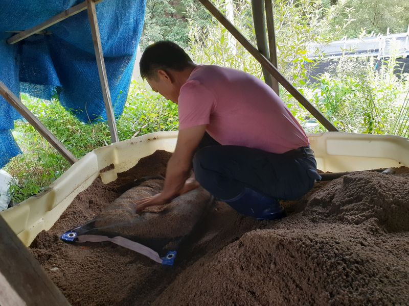 모두팜님의 장터 판매 상품 [인삼씨  500g] 첨부 사진