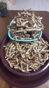 팜모닝 자유주제·자유게시판 게시글 이미지