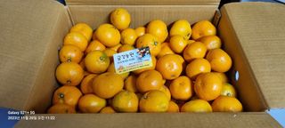 박찬호님의 최근 산 물건을 알려주세요! · 참여글 작성글 사진