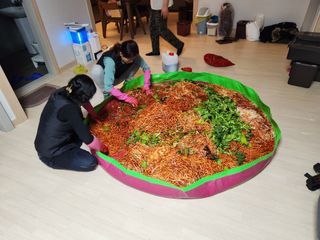 김영철님의 배추 · 수확 작성글 사진