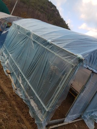 정석구님의 자유주제 · 자유게시판 작성글 사진