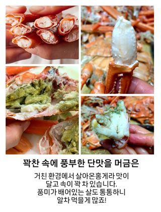 노가네수산님의 장터이야기 · 자유게시판 작성글 사진