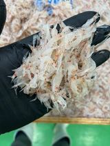 팜모닝 · 게시글 이미지