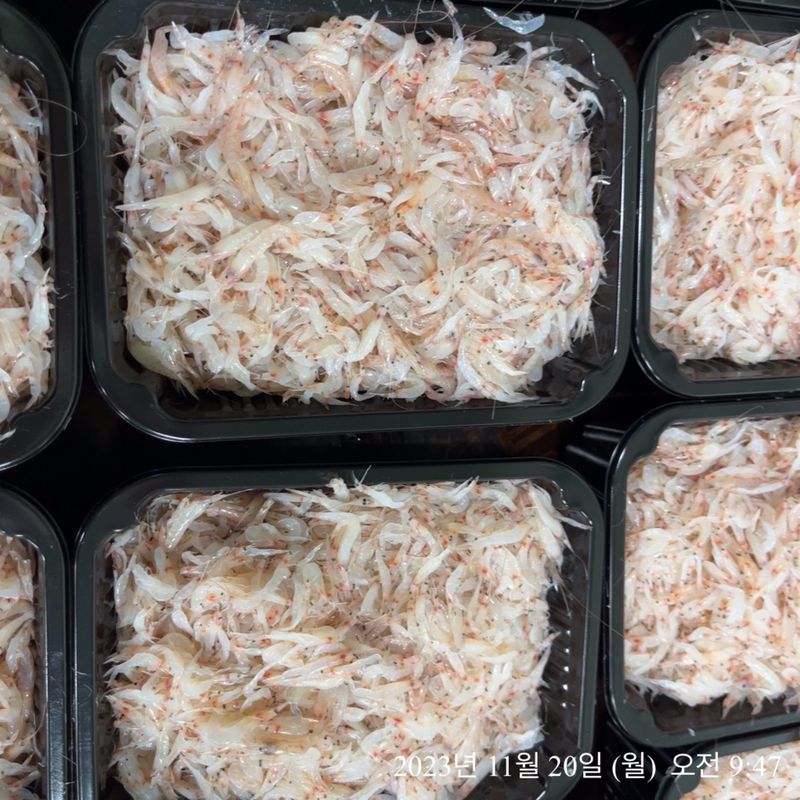 목포 물좋은수산님의 장터 판매 상품 [생새우 (동백하)] 첨부 사진