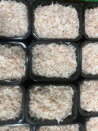 목포 물좋은수산님의 작성글 사진