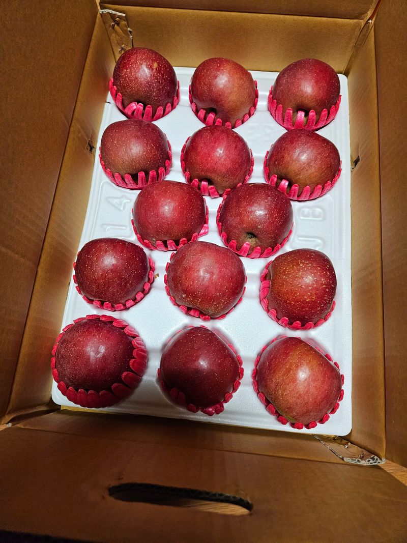 스마일님의 장터 판매 상품 [부사사과] 첨부 사진