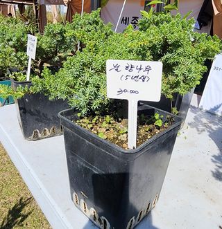 약초원 김종군님의 작성글 사진