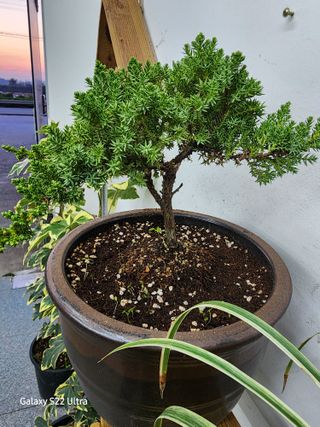 약초원 김종군님의 작성글 사진