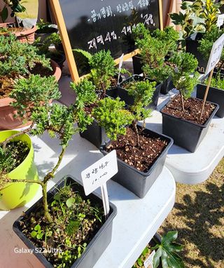 약초원 김종군님의 작성글 사진