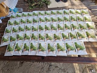 이창신님의 자유주제 · 자유게시판 작성글 사진