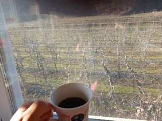 알 수 없음님의 자유주제 · 자유게시판 작성글 사진