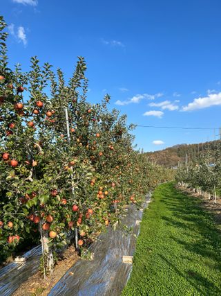 김성미님의 작성글 사진