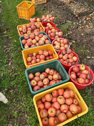 김성미님의 작성글 사진